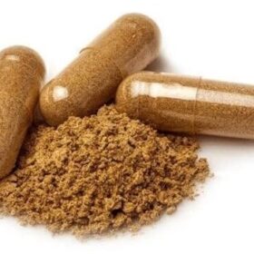 Ibogaine for sale